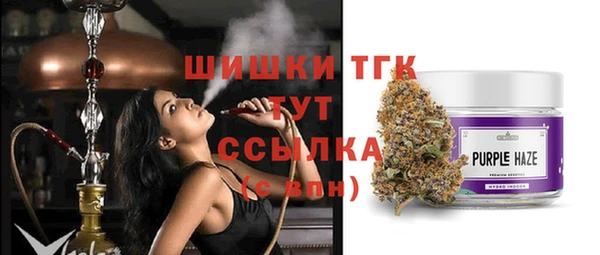 дживик Арсеньев