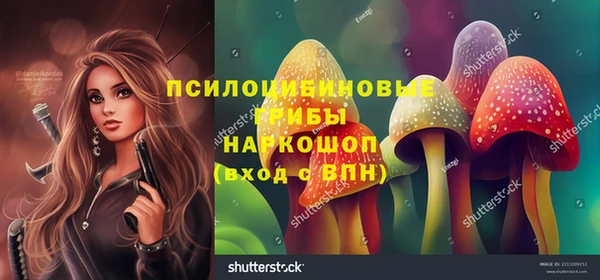 дживик Аркадак