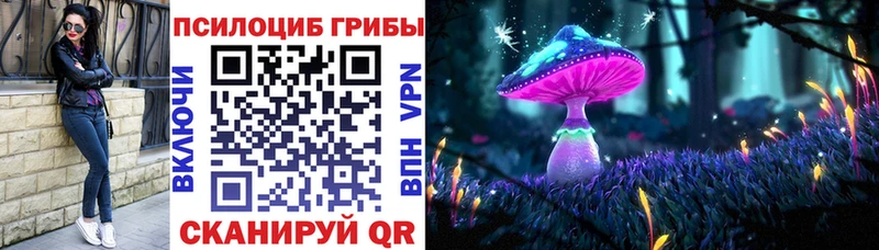 Купить где  Трубчевск  Галлюциногенные грибы мицелий 